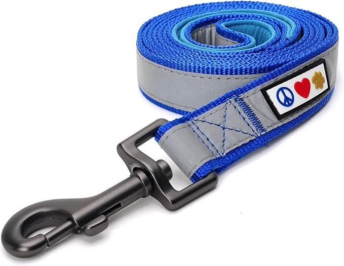 Pawtitas 6 FT Padded Dog Leash with Comfortable Neoprene Padding Handle - Blue Lead | Medium Reflective Dog Leash with Highly Reflective Band Perfect for Medium and Large Dogs and Puppies.