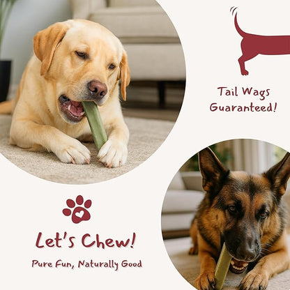 Majestic Pet Himalayan All-Natural Yak Style Cheese Dog Chews Made with 100% Cows Milk- Long Lasting Dental Chew for Dogs - Healthy Pet Treats (Digestive & Immune Support, Regular, 1 Pack)