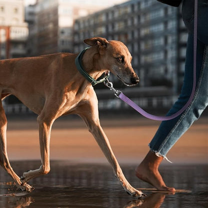 Wolfone Long Line Dog Leash with Padded Handle Purple 5m Training Leashes Reflective Leads for Dogs Outside