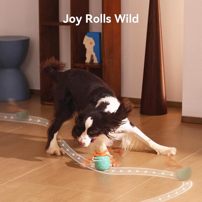 Hoochii Smart Interactive Dog Toy, Wicked Ball Rolly, Automatic Moving, Bouncing, Rotating, E-TPU Material, Active Rolling Interactive Dog Ball for Medium and Large Dogs