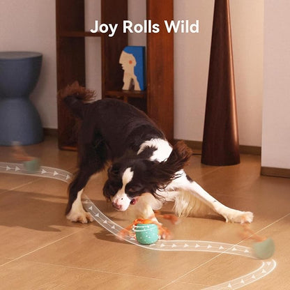 Hoochii Smart Interactive Dog Toy, Wicked Ball Rolly, Automatic Moving, Bouncing, Rotating, E-TPU Material, Active Rolling Interactive Dog Ball for Medium and Large Dogs