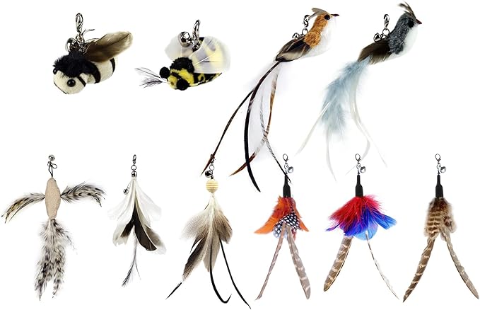 TTcat Cat Wand Toy Feather Replacement Cat Toy Attachments Refills,10 Pcs Simulation Insects Bird Feathers.