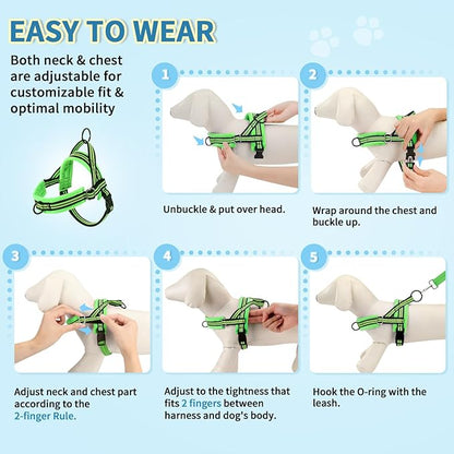 Lukovee No Pull Dog Harness and Leash Set, Soft Padded Small Dog Harness, Neck & Chest Adjustable Reflective Vest Puppy Harness with 4ft Lightweight Anti-Twist Dog Leash for Small Dogs (XXS, Green)