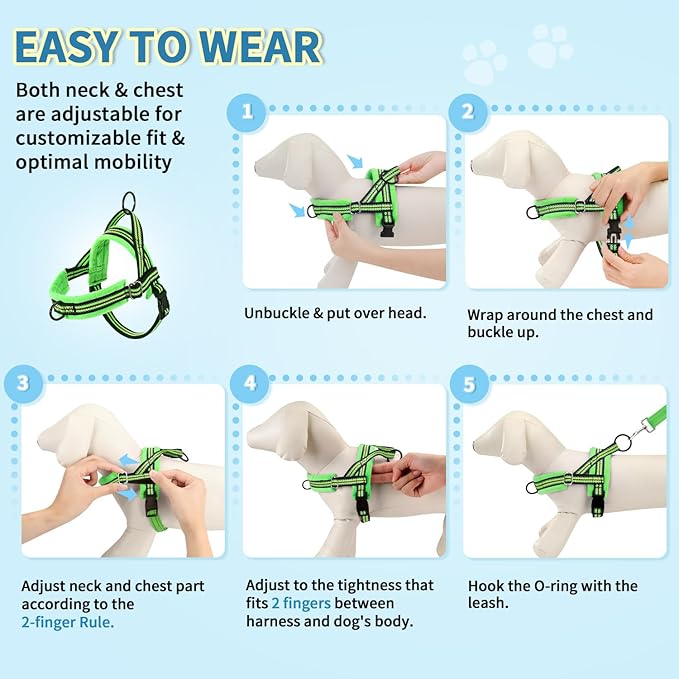 Lukovee No Pull Dog Harness and Leash Set, Soft Padded Small Dog Harness, Neck & Chest Adjustable Reflective Vest Puppy Harness with 4ft Lightweight Anti-Twist Dog Leash for Small Dogs (S, Green)
