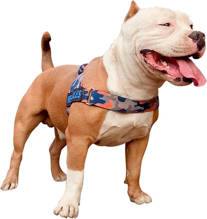 BULLHUG Adjustable Dog Harness– No Pull, No Choke – for English Bulldogs, French Bulldogs, Pugs & Broad-Chested Breeds – Easy, Safe Walks (Orange/Blue Camouflage, Medium)