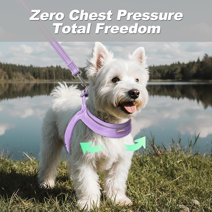 Dog Harness and Leash Set,Step in Small Sized Dog Harness,Soft Mesh,No-Chock,Reflective Adjustable,Secure with Hook & Loop Fastener,Puppy Vest for Small,Medium Dogs(Violet Purple,XS)