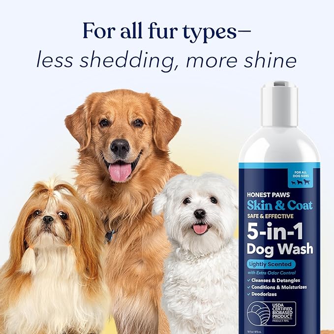 Honest Paws Dog Shampoo and Conditioner - Premium Dog Wash for Allergies Dry, Itchy, Moisturizing for Sensitive Skin - Sulfate Free Plant Based All Natural - Lightly Scented w/Odor Control -16 Fl Oz