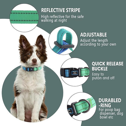 Roses&Poetry Bluegreen Small Dog Collar and Leash Set, Puppy Reflective Leashes with Collars, Adjustable Durable Matching Collar Leash for Small Dogs Girl (Bluegreen-XS)