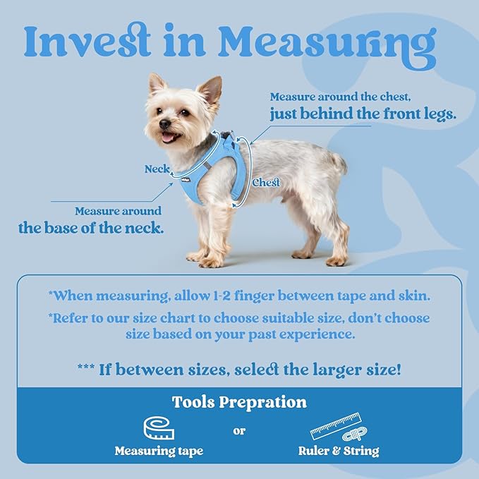 rabbitgoo Small Dog Harness, Step-in Soft Mesh Puppy Vest with Safety Buckle, Breathable Reflective Pet Harness for Small Sized Dogs, Blue S