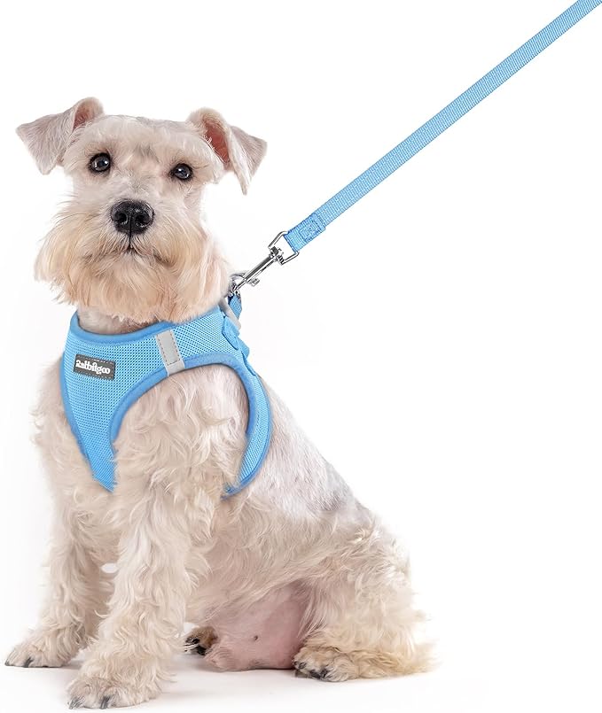 rabbitgoo Dog Harness Medium Sized and Leash Set, Step in Soft Light Puppy Vest, Breathable Mesh Pet Harness, Reflective for Safe Easy Walking, Blue XXL