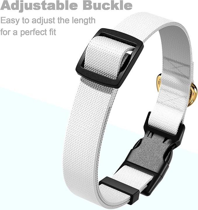 Rnivvi Dog Collar for Small Dogs, Classic Heavy Duty Adjustable Puppy Collar with Quick Release Buckle for Boy Girl & Female,Pet Accessories for Walking Running Training, S Length 3/4" Width, White