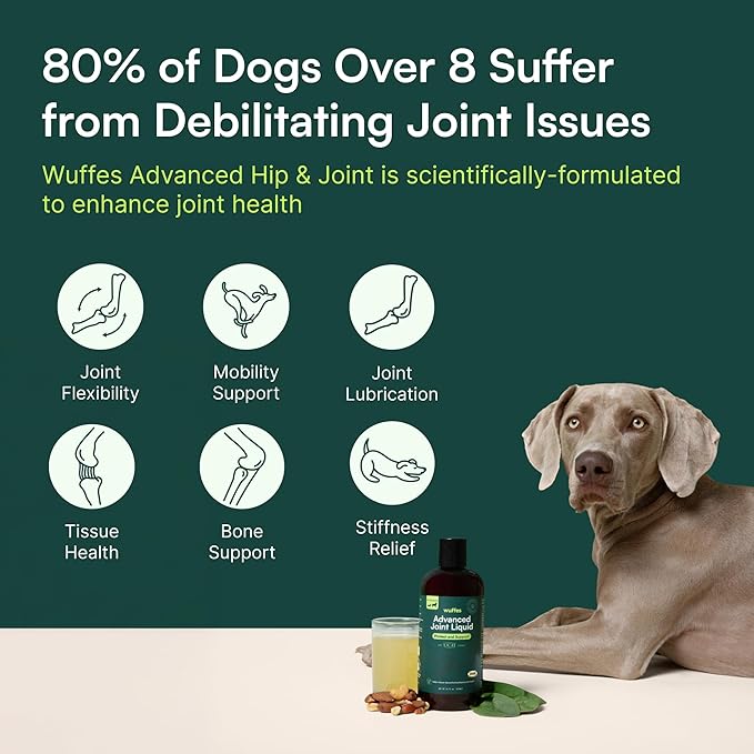 Wuffes Advanced Joint Liquid for Dogs, Hip & Joint Support Supplement with Glucosamine, Chondroitin, UC-II® Collagen, and MSM, for Small & Large Breeds, 16 Oz