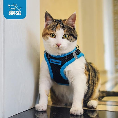 Best Pet Supplies Voyager Step-in Air Harness - All Weather Mesh, Reflective, No Pull Harness for Dogs, Cats - Secure with Hook & Loop Fastener, Buckle, Double D-Rings - Blue, XXS
