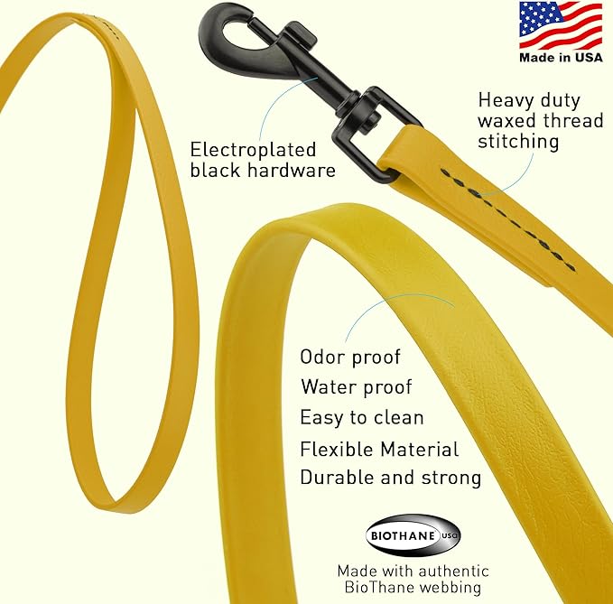 Dogline Biothane Waterproof Dog Leash Strong Coated Nylon Webbing with Black Hardware Odor-Proof Easy to Clean High Performance for Small or Large Dogs Made in USA 2 ft Lead, Treasure Gold