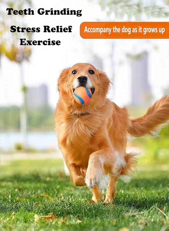 FCCUM Dog Toy Ball,Rubber Sound-Producing Toy Ball, with a Groove Design That is Resistant to Bites, Has a High Bounce, Dog Training Interactive Pet Toy, Relieving Pet Anxiety,Pack of 2