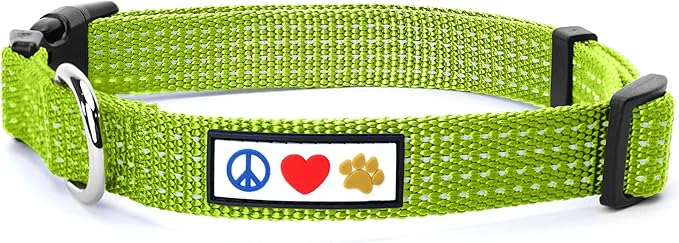 Pawtitas Reflective Green Puppy or Dog Collar, Large