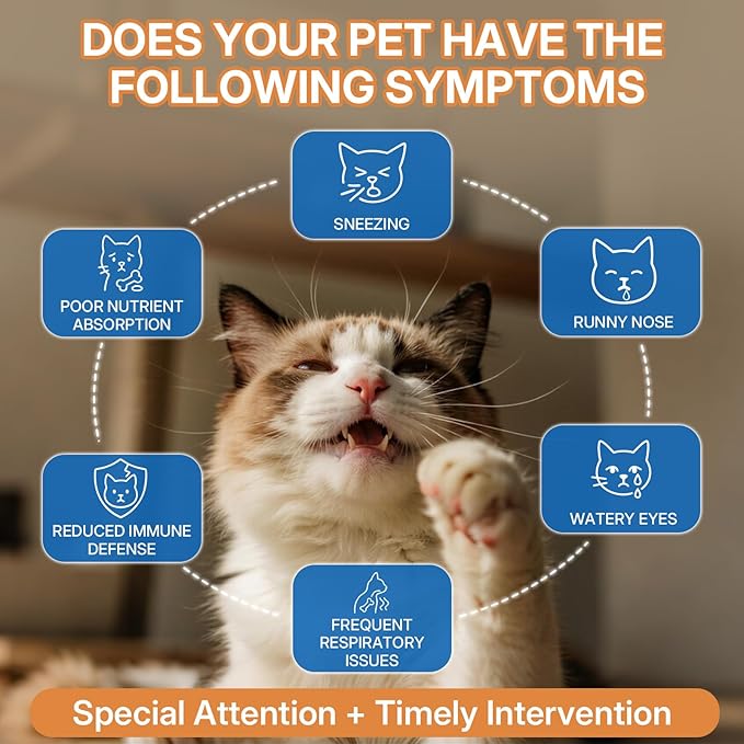 L-lysine Supplement for Cats, Immune Support for Cats, Support for Feline Respiratory, Sneezing, Runny Nose, Eye Function, Helps Strengthen Natural Defenses, Chicken Flavor (2PCS)