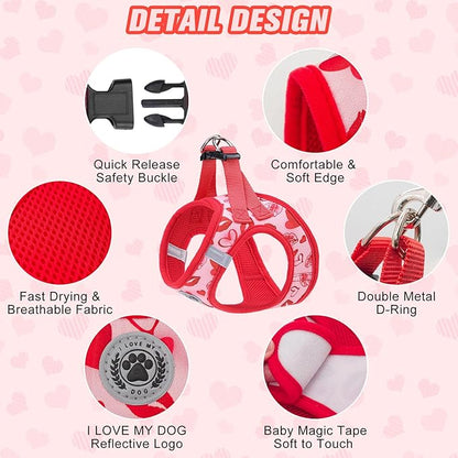 BEAUTYZOO Step in Dog Harness and Leash Set,Reflective Dog Harness No Pull No Choke Puppy Harness for Small Medium Large Dogs Cats,Soft Padded Mesh Vest Harnesses for Girl and Boy,Valentine's Day M
