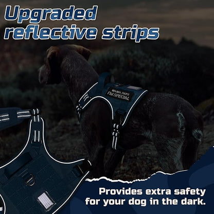 rabbitgoo Tactical Dog Harness for Large Dogs, No Pull Military Service Vest with Handle & Molle, Easy Control for Training Walking, Adjustable Reflective Straps, Blue, XL