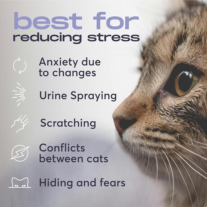 BUDDYJOY Cat Calming Diffuser Refills – Long-Lasting 30-Day Formula with Pheromones for Stress Relief, Relaxation, and Anxiety Reduction in Cats Easy to Use – (6 Refills)