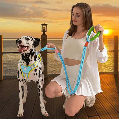 JSXD 5 FT Heavy Duty Dog Training Leash - Double Handle Comfortable Padded Hands Free, Adjustable Crossbody Waist for Small Medium Large Dogs (Blue)