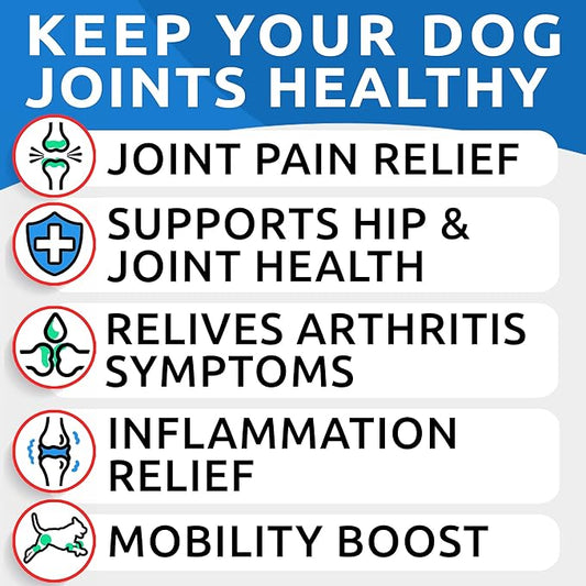 BARK&SPARK Liquid Glucosamine for Dogs w/Collagen (16 OZ) Advanced Mobility Joint Supplement for Dogs - Advanced Formula with Chondroitin, MSM - Hip & Joint + Skin & Coat Care - Made in USA