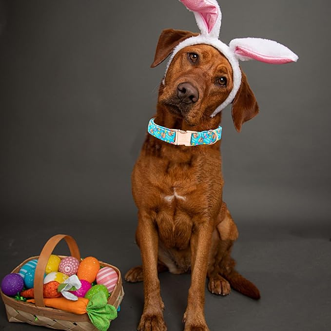 Lionheart glory Easter Dog Collar Colorful Collar for Large Dog Collars Easter Egg Print Dog Collars Spring Female or Male Pet Gift Adjustable Heavy-Duty Pet Collar Holiday