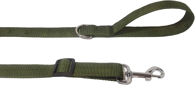 6FT Adjustable Dog Leash, Nylon Dog Leashes for Medium Large Dogs (Green)