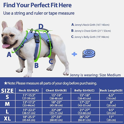 Huntboo Escape Proof Dog Harness, Escape Artist Harness, Reflective Dog Harness with Handle, Durable,Adjustable Vest for Small Medium Large Dogs Walking, Training, and Running Gear(Technicolor Blue,M)
