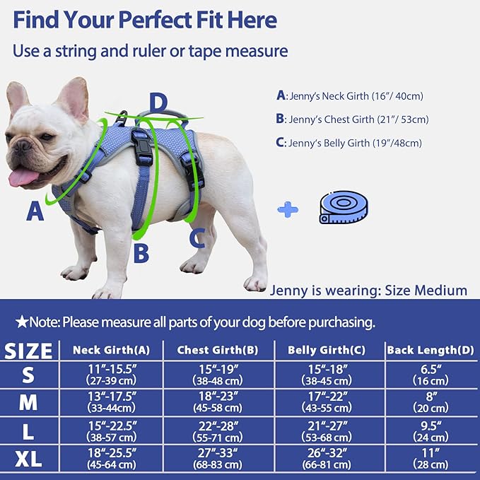 Huntboo Escape Proof Dog Harness, Escape Artist Harness, Reflective Dog Harness with Handle, Durable,Adjustable Vest for Small Medium Large Dogs Walking, Training,and Running Gear(Technicolor Blue,XL)