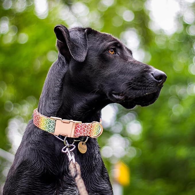 Cotton Dog Collar Metal Buckle Daisy Summer, Cute Adjustable Dog Collar Soft for Small Medium Large Boys Girls Dogs Durable