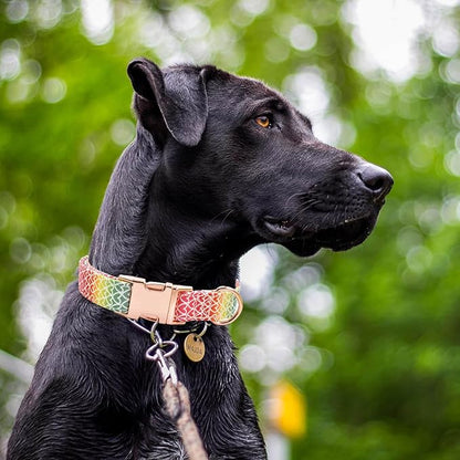 Cotton Dog Collar Metal Buckle Daisy Summer, Cute Adjustable Dog Collar Soft for Small Medium Large Boys Girls Dogs Durable
