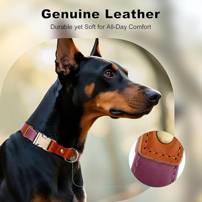 Plutus Pet Genuine Leather & Hemp Dog Collar – Adjustable Heavy Duty Pet Collar with Quick Release Metal Buckle, Soft & Stylish for Puppy and Small, Medium, Large Dogs (Purple, XS)