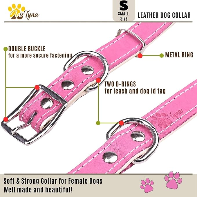 ADITYNA Heavy-Duty Pink Leather Dog Collar for Small Dogs - Soft Padded for Comfort - Girl Dog Collar for Walking, Training, and Hiking
