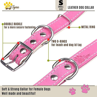 ADITYNA Heavy-Duty Pink Leather Dog Collar for Small Dogs - Soft Padded for Comfort - Girl Dog Collar for Walking, Training, and Hiking