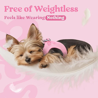 rabbitgoo Small Dog Harness, Step-in Soft Mesh Puppy Vest with Safety Buckle, Breathable Reflective Pet Harness for Small Medium Dogs, Light Pink XL