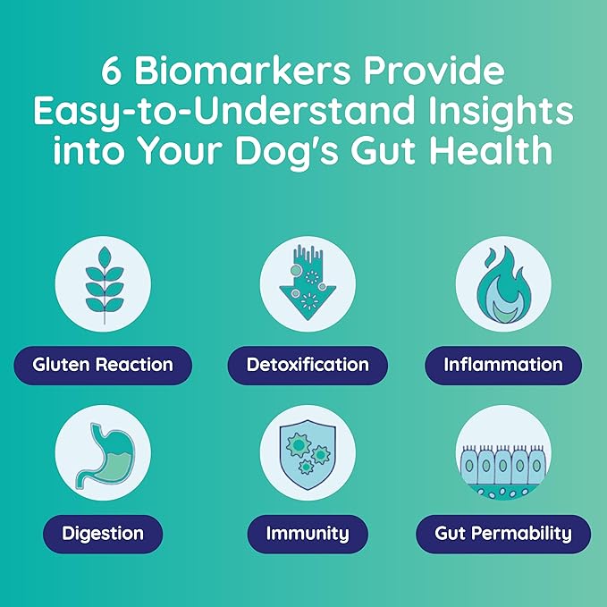 Innovative Pet Lab Comprehensive Gut Health Check for Dogs - at-Home Stool Test for Digestion, Immune & Leaky Gut Symptoms Like Diarrhea, Allergies, Itchy Skin, Bad Breath - Easy Non-Invasive Testing