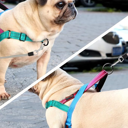 Didog No Pull Dog Harness with Soft Padded Handle, Quick Fit & Lightweight Adjustable Vest Harness, Easy for Training Walking for Small & Medium and Large Dogs(Blue,L)
