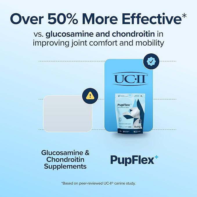 PupFlex+ Hip and Joint Supplement Dogs, Vet Created Soft Chews w/UC-II® Collagen, CurcuVET® & Omega 3 - UC-II Collagen More Effective Than Glucosamine Chondroitin, Dog Joint Supplement (60 ct)