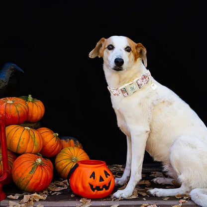 Elegant little tail Halloween Dog Collar, Pet Dog Collar Cotton Soft Pumpkin Collars Holiday with Quick Release Buckle Pet Puppy Collars for Large Dogs