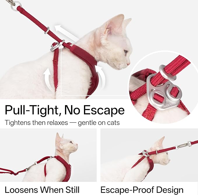 BuddyArmor Escape Proof Y Shape Cat Harness Anti-Choke Buckle Adjustable Comfortable Padded Cat Vest Harness Anti Escape Cat Rope Harness for Kitten Small Medium Large Cats (Olive, S)