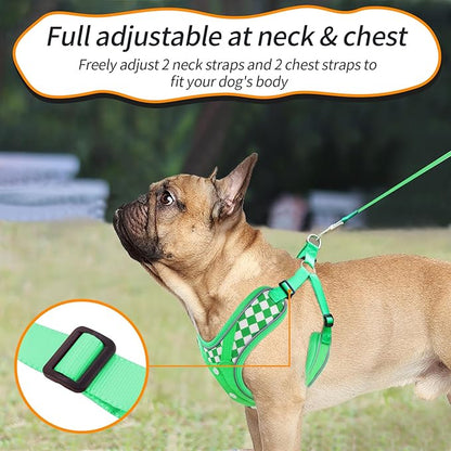 Dog Harness with Leash Set, Adjustable Step in with Breathable Padded Vest Harness for Medium Large Dogs Training and Running (M Green)