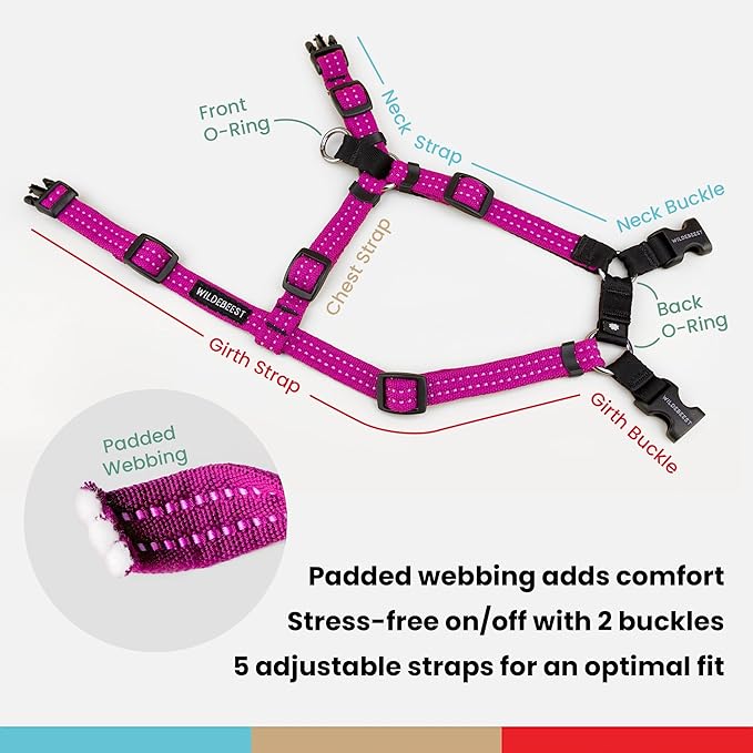 Wildebeest Valencia No Pull Dog Harness | Front and Back Leash Clips | Soft Padded Straps | Lightweight, Adjustable, Easy On/Off for Training and Dog Walking | X-Large Fuchsia