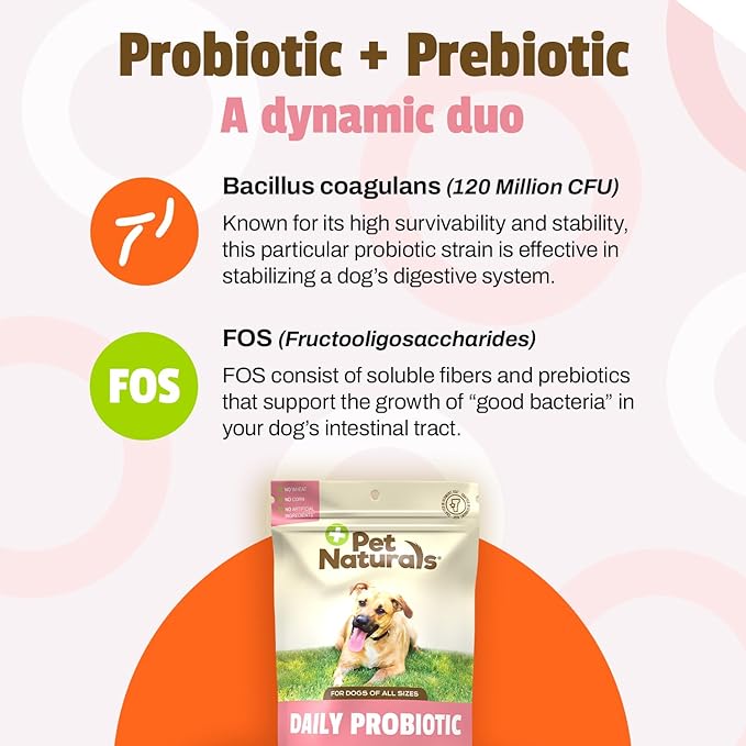 Pet Naturals Daily Probiotic Soft Chews for Dogs, Digestive and Immune Support Supplement, 1 Billion CFU Per Chew, Duck, 160 Count