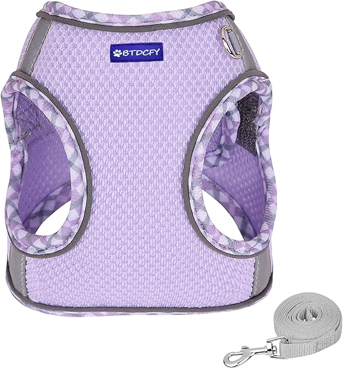 Step in Mesh Dog Harness & Leash Set - Breathable Air Mesh Reflective Escape Proof Vest, No Choke, Lightweight, Purple