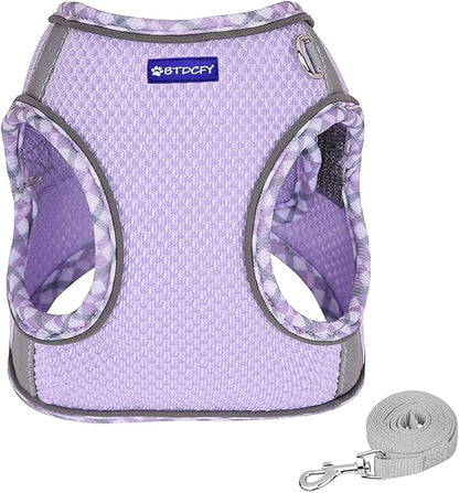 Step in Mesh Dog Harness & Leash Set - Breathable Air Mesh Reflective Escape Proof Vest, No Choke, Lightweight, Purple