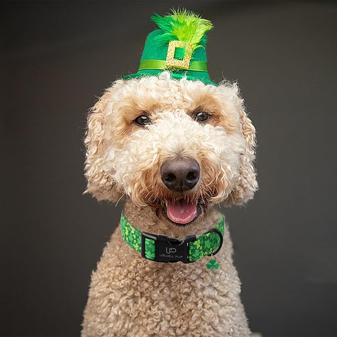 St. Patrick's Dog Collar, Lucky Clover Pet Collar with Quick Release, Comfortable Adjustable Shamrock Puppy Collar for Small Medium & Large Dogs