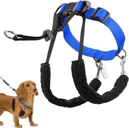 Sporn ORIGINAL TRAINING HALTER Small Blue, (10061)