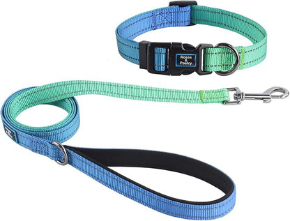 Roses&Poetry Bluegreen Small Dog Collar and Leash Set, Puppy Reflective Leashes with Collars, Adjustable Durable Matching Collar Leash for Small Dogs Girl (Bluegreen-XS)