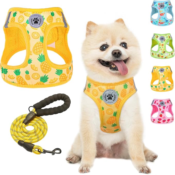 BEAUTYZOO Step in Dog Harness and Leash Set,Reflective Dog Harness No Pull No Choke Puppy Harness for Small Medium Large Dogs Cats,Soft Padded Mesh Vest Harnesses for Girl and Boy Pets, Pineapple XS